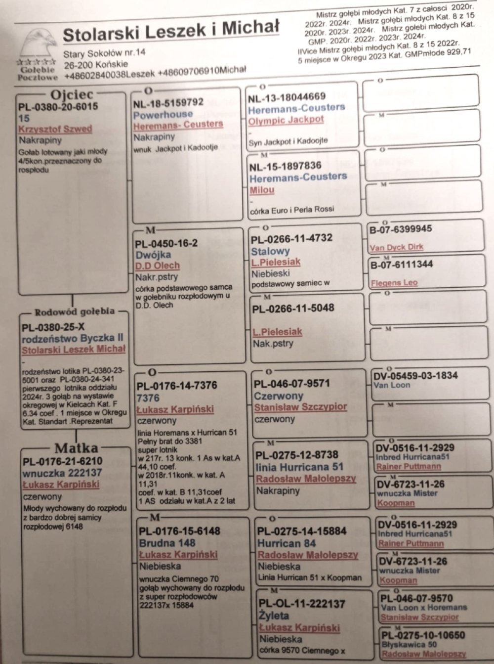 DARCZYŃCA BONU: STOLARSKI LESZEK & MICHAŁ / PZHGP 0380 RADOSZYCE (RODOWODY DWÓCH MŁODYCH W ZAŁĄCZNIKU)