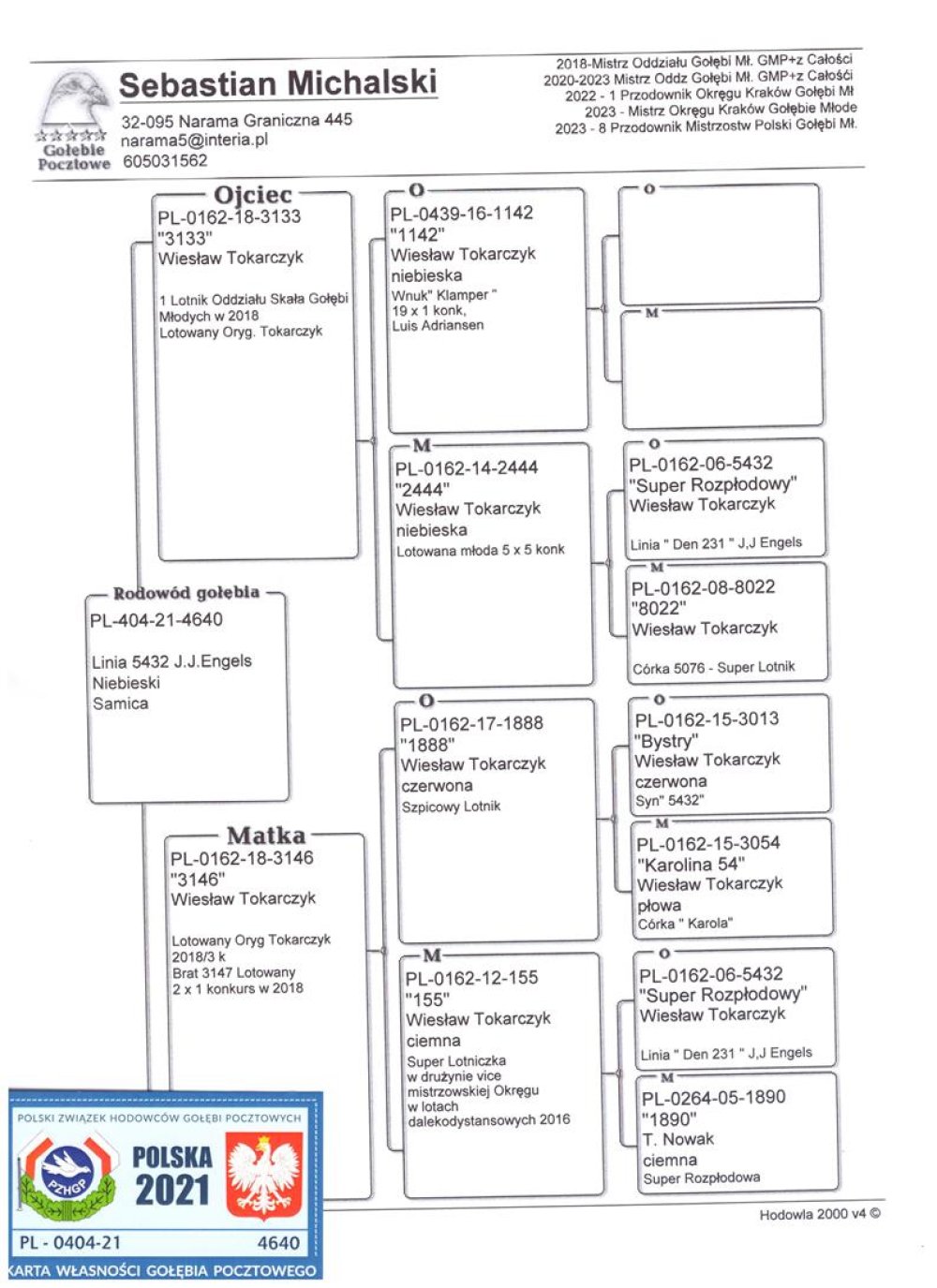 | CÓRKA LOTNIKA "3133" ORG. WIESŁAW TOKARCZYK - NAJLEPSZY MŁODY LOTNIK ODDZIAŁU SKAŁA 2018R - JEST ON WNUKIEM SUPER ROZPŁODOWCA "5432" - LINIA "DEN 231" J. J. ENGELS | CÓRKA SAMICY ROZPŁODOWEJ "3146" ORG. WIESŁAW TOKARCZYK - LOTOWANA JAKO MŁODA - 3/5KONK. / JEJ BRAT "3147" - JAKO MŁODY W 2018R - 2X 1KONKURS - JEST ONA WNUCZKĄ SUPER ROZPŁODOWCA "5432" - LINIA "DEN 231" J. J. ENGELS |