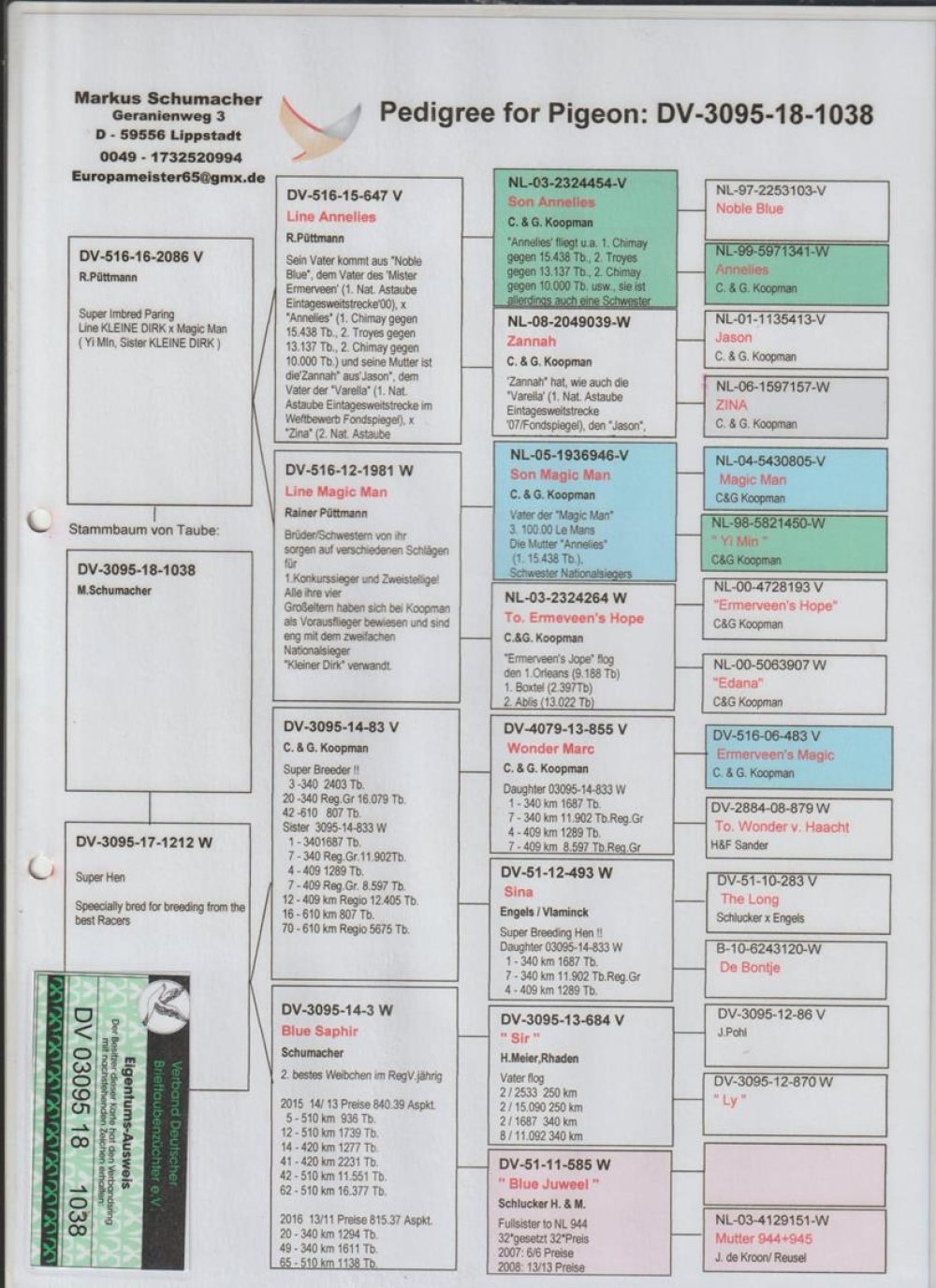 ORG. MARKUS SCHUMACHER