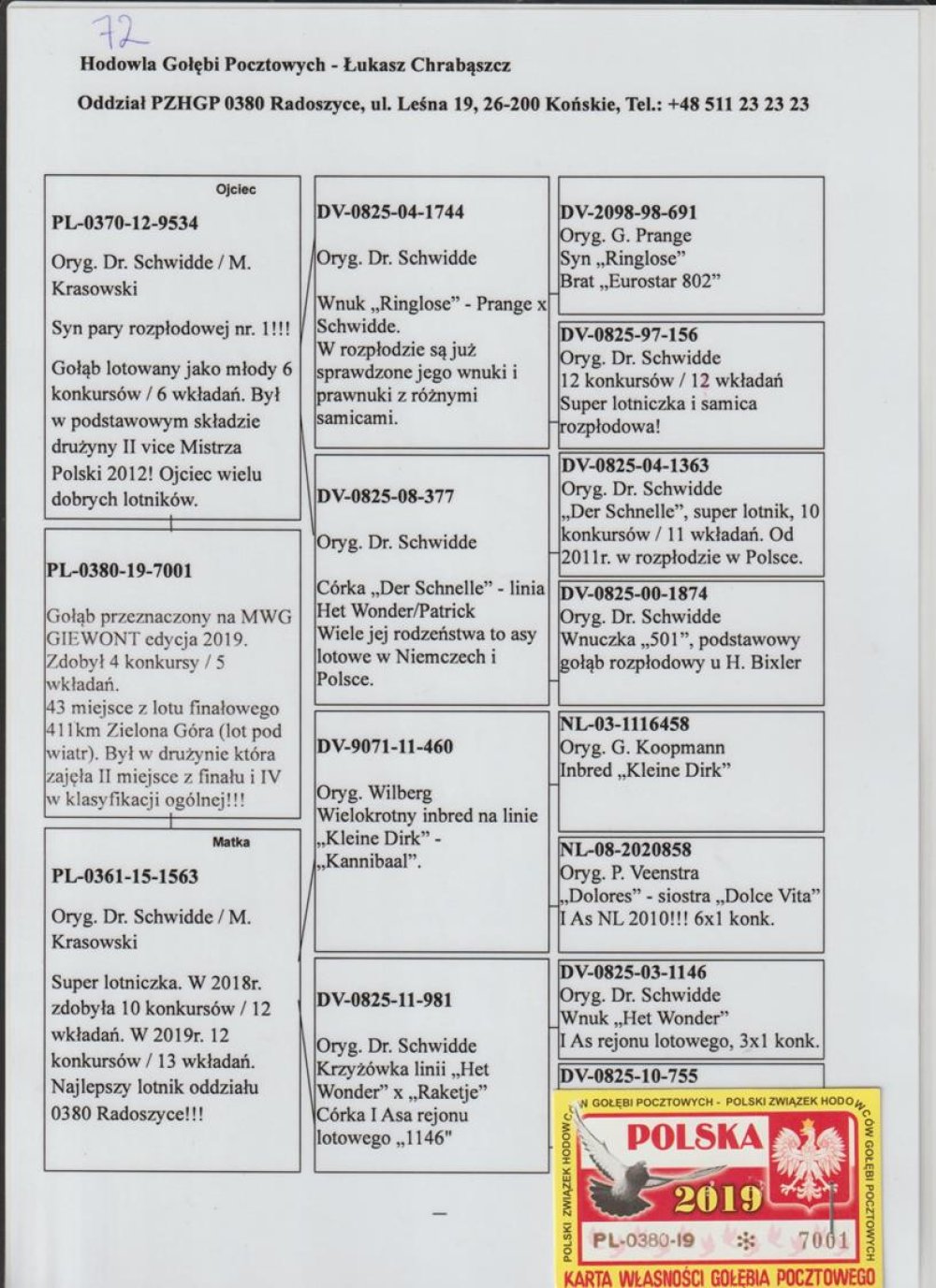 ORG. ŁUKASZ CHRABĄSZCZ