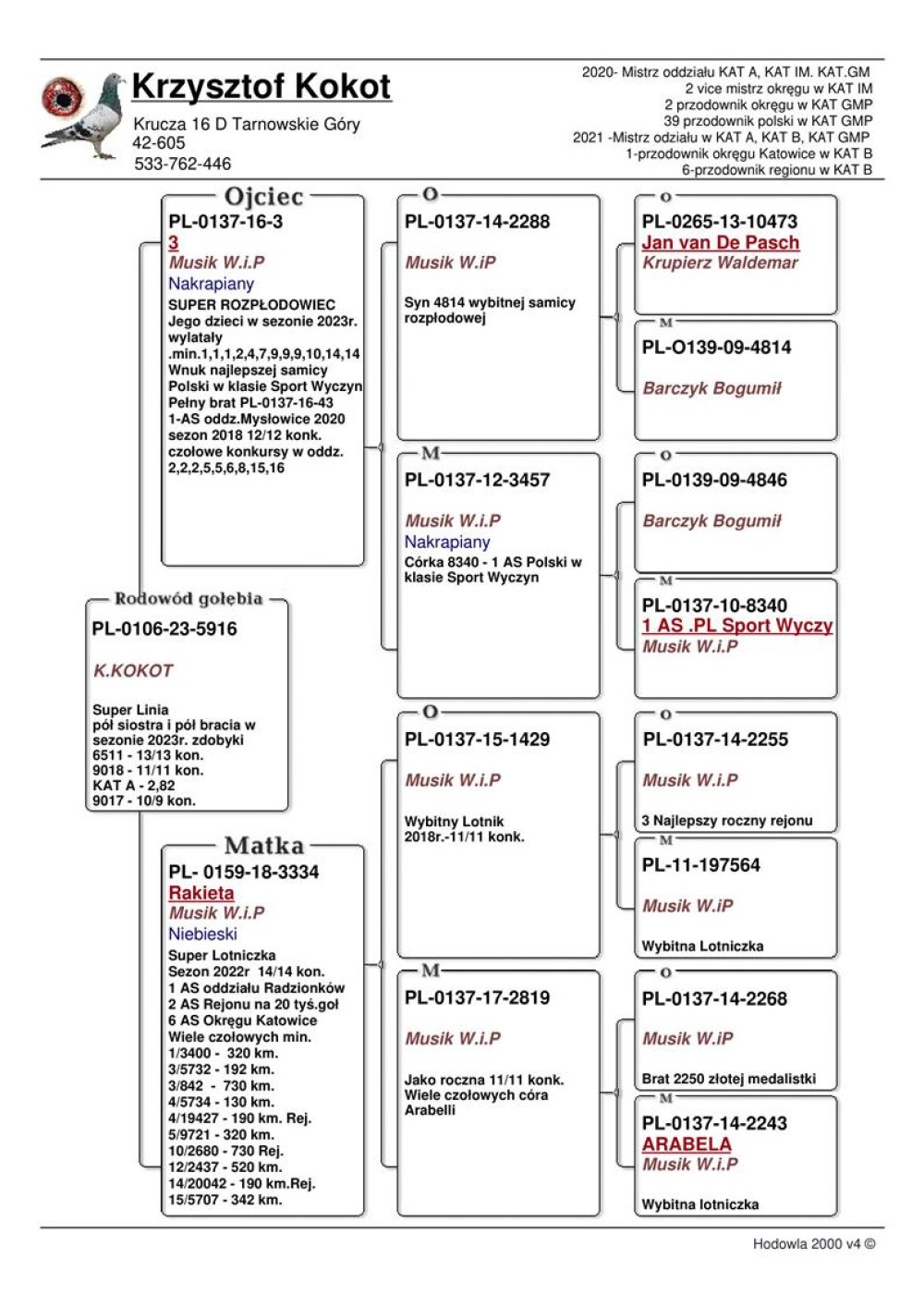 | CÓRKA KAPITALNEJ LOTNICZKI "3334" ORG. MUSIK PIOTR - W SEZONIE 2022 - 14/14KONK. 1AS ODDZIAŁU / 2AS REJONU RADZIONKÓW! ZDOBYŁA M.IN.: 1, 3, 3, 4, 4, 5.. | CÓRKA PODSTAWOWEGO ROZPŁODOWCA "TRÓJKA" ORG. MUSIK PIOTR - WNUK "8340" - 1AS POLSKI WYCZYN |