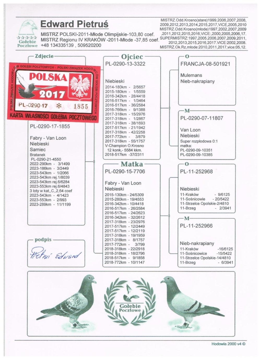 | BARDZO DOBRY SAMIEC ROZPŁODOWY "1855" - JEST ON SYNEM DWÓCH WSPANIAŁYCH GOŁĘBI LOTOWYCH! | SYN SUPER LOTNIKA I ROZPŁODOWCA "3322" MULEMANS / VAN LOON - SAMCZYK TEN ZDOBYŁ M.IN.: 1, 1, 1, 2, 3, 9.. / W SEZONIE 2017 ZOSTAŁ 5 CHAMPIONEM ODDZIAŁU KROSNO ZDOBYWAJĄC 12KONK. / "3322" - JEST DZIADKIEM M.IN.: "4550" - W SEZONIE 2023 - WYNIK W KAT. C - 2,64COEFF. | SYN WSPANIAŁEJ LOTNICZKI "7706" FABRY / VAN LOON - ZDOBYŁA M.IN.: 3, 8, 9, 10, 10, 12, 12, 18, 19, 19, 22, 23, 24, 24.. |