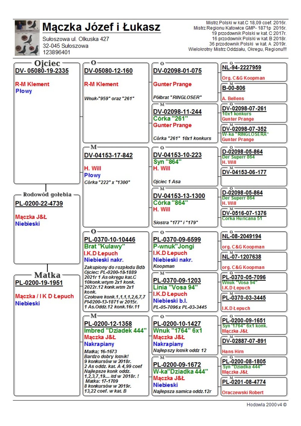 | WNUCZKA SUPER ROZPŁODOWCA "10446" - BRAT "KULAWY" - JEST ON OJCEM M.IN.: "1889" - 1AS OKRĘGU 2022R - KAT. C - ZDOBYŁA M.IN.: 1, 1, 1, 1, 2, 6, 7, 7.. | WNUCZKA "1358" - JEST TO INBRED BARDZO DOBREGO ROZPŁODOWCA "DZIADEK 444" |
