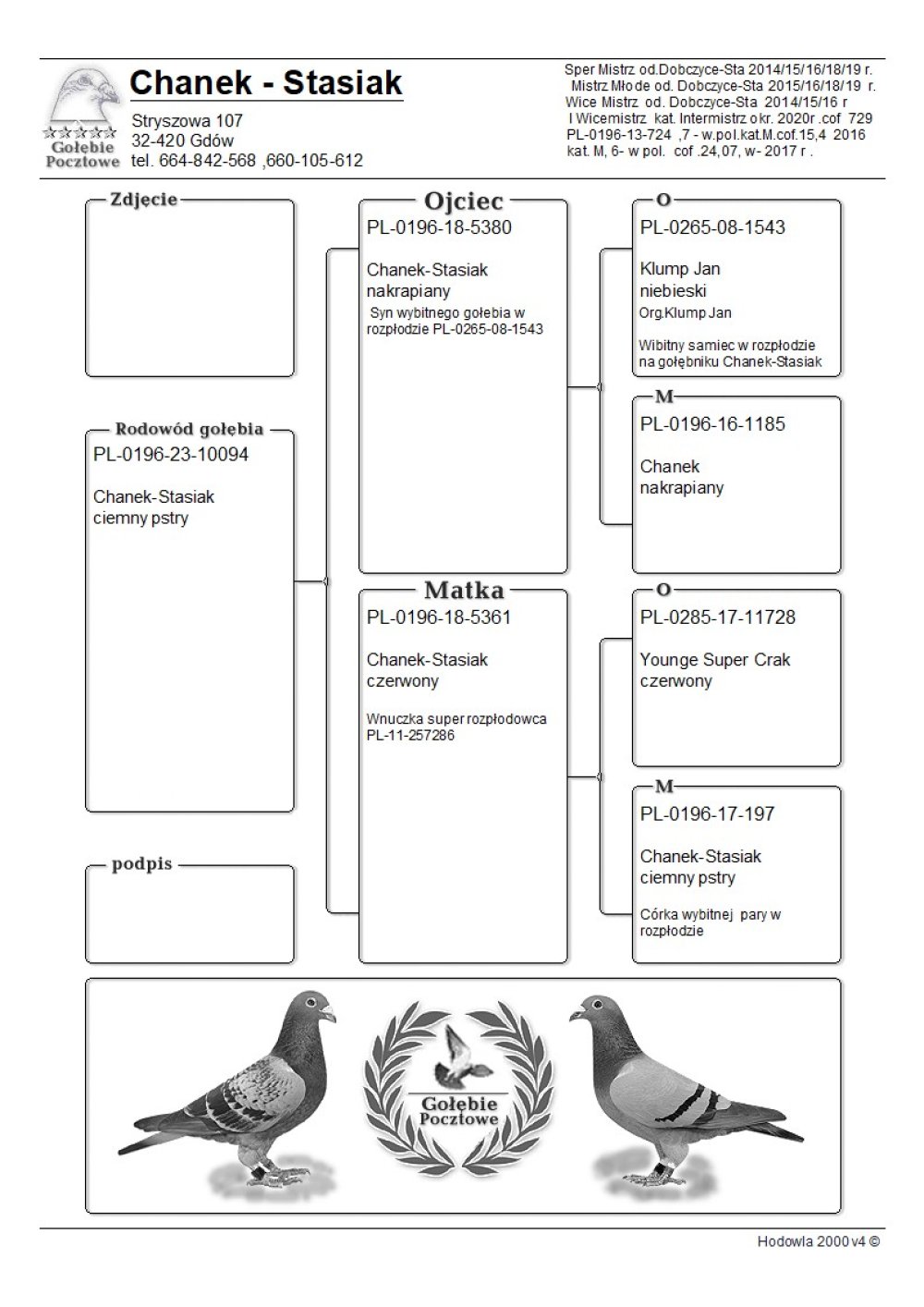 | WNUK PODSTAWOWEGO SAMCA ROZPŁODOWEGO "08-1543" ORG. JAN KLUMP - JEST OJCEM I DZIADKIEM WIELU PODSTAWOWYCH LOTNIKÓW! | DZIECKO "5361" - JEST ONA WNUCZKĄ PODSTAWOWEGO ROZPŁODOWCA HODOWLI "RUDY 286" |