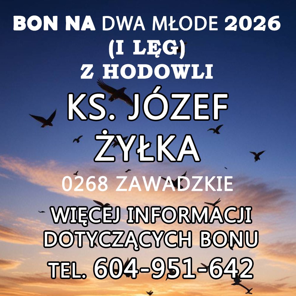 KS. JÓZEF ŻYŁKA