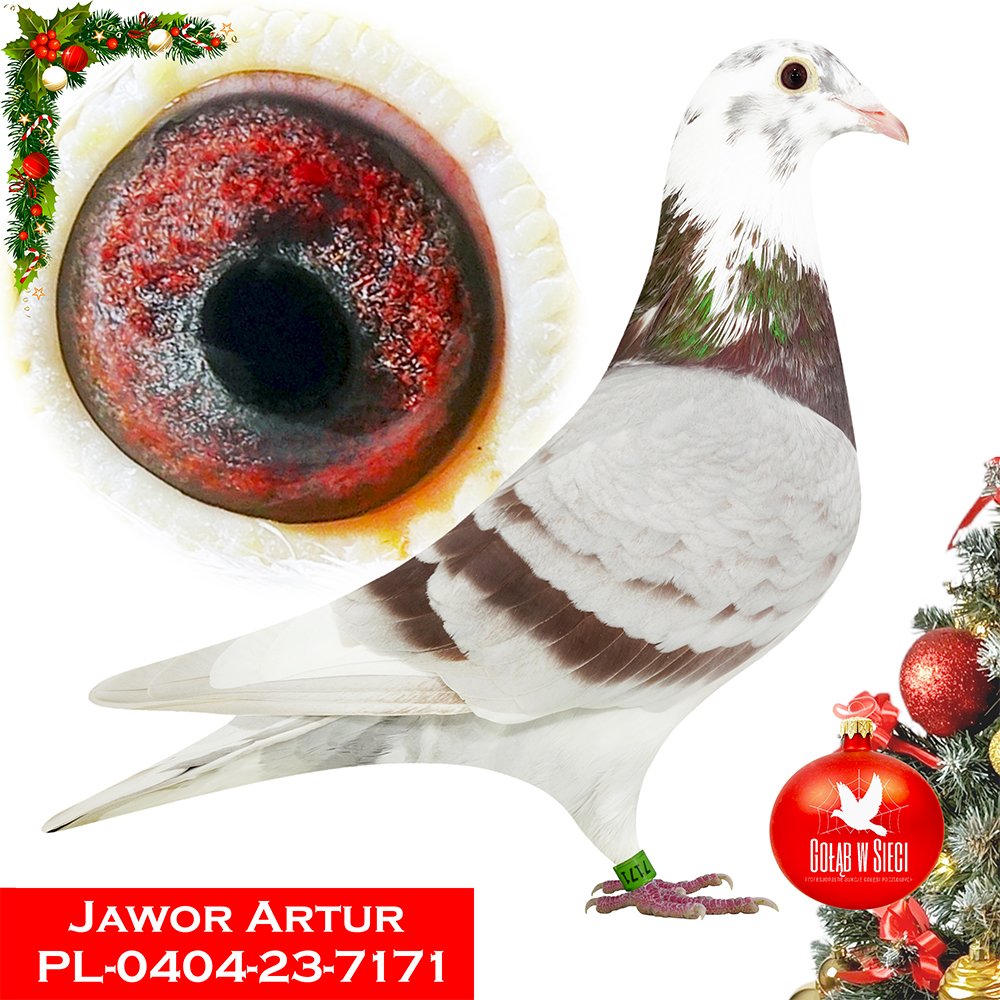 ARTUR JAWOR
