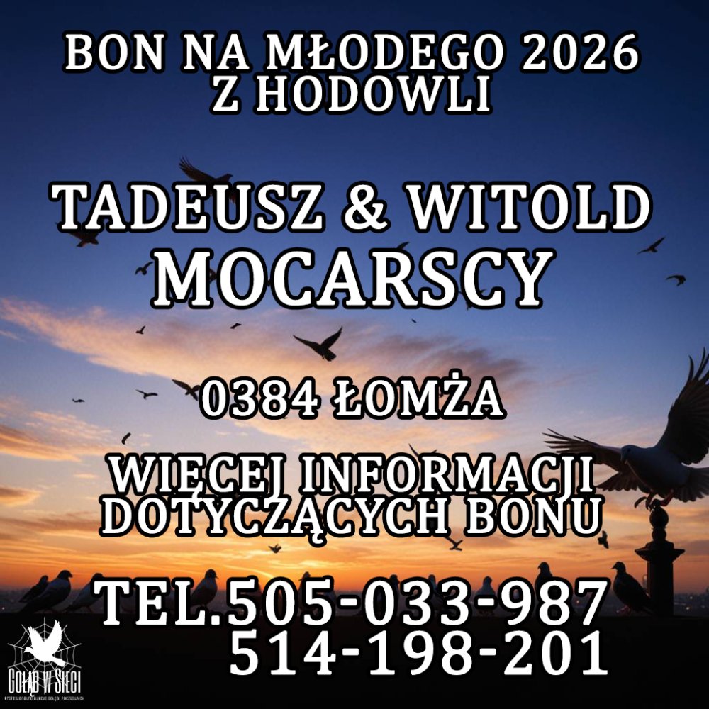 MOCARSY T. & W.