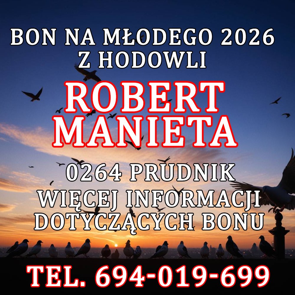 ROBERT MANIETA