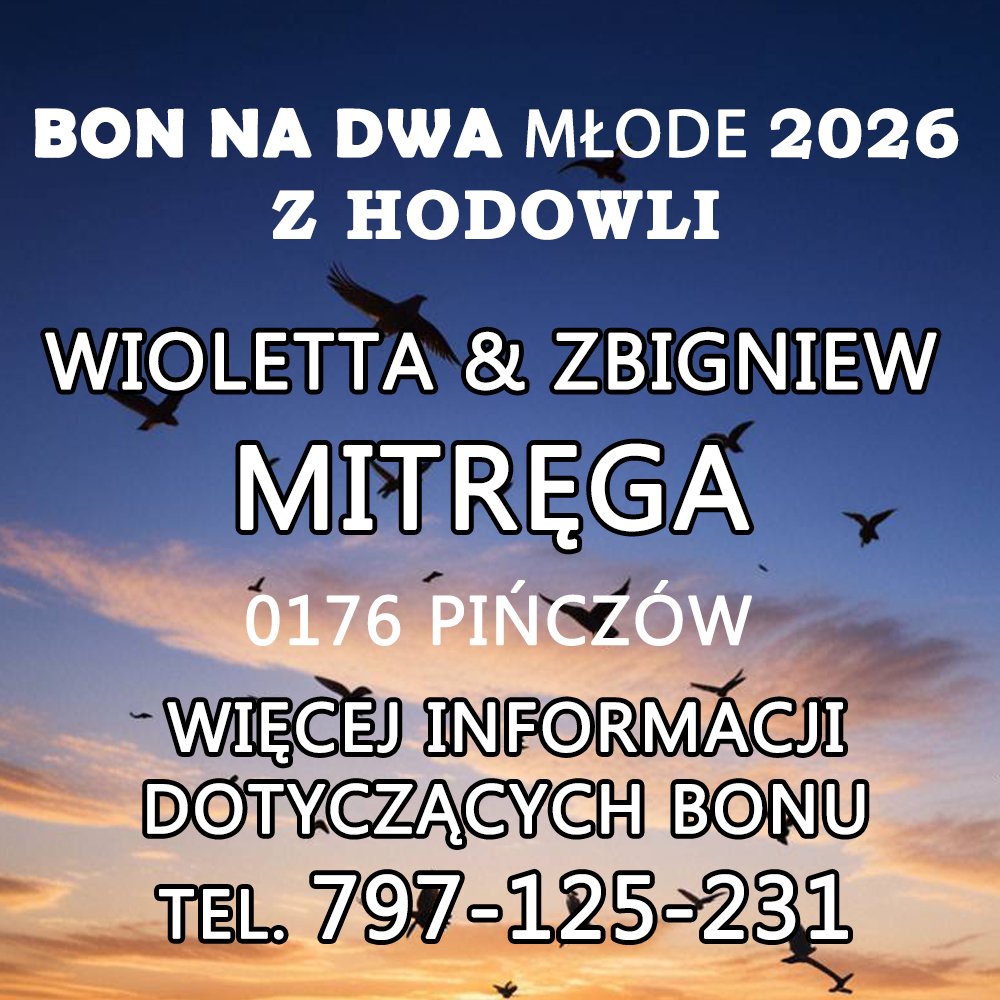 W. & Z. MITRĘGA