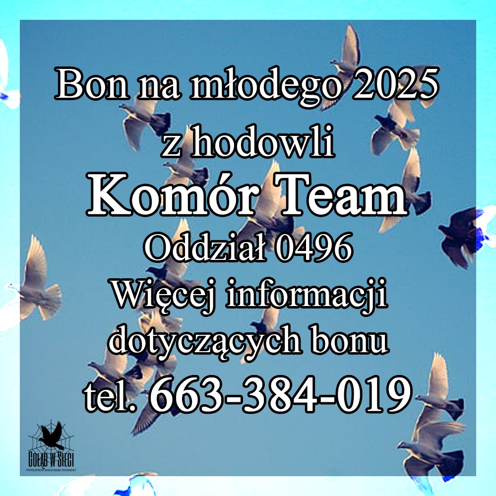 DARCZYŃCA BONU: KOMÓR TEAM / PZHGP 0496 SULMIERZYCE (OD SEZONU 2025 ODDZIAŁ 0275 RADOMSKO)