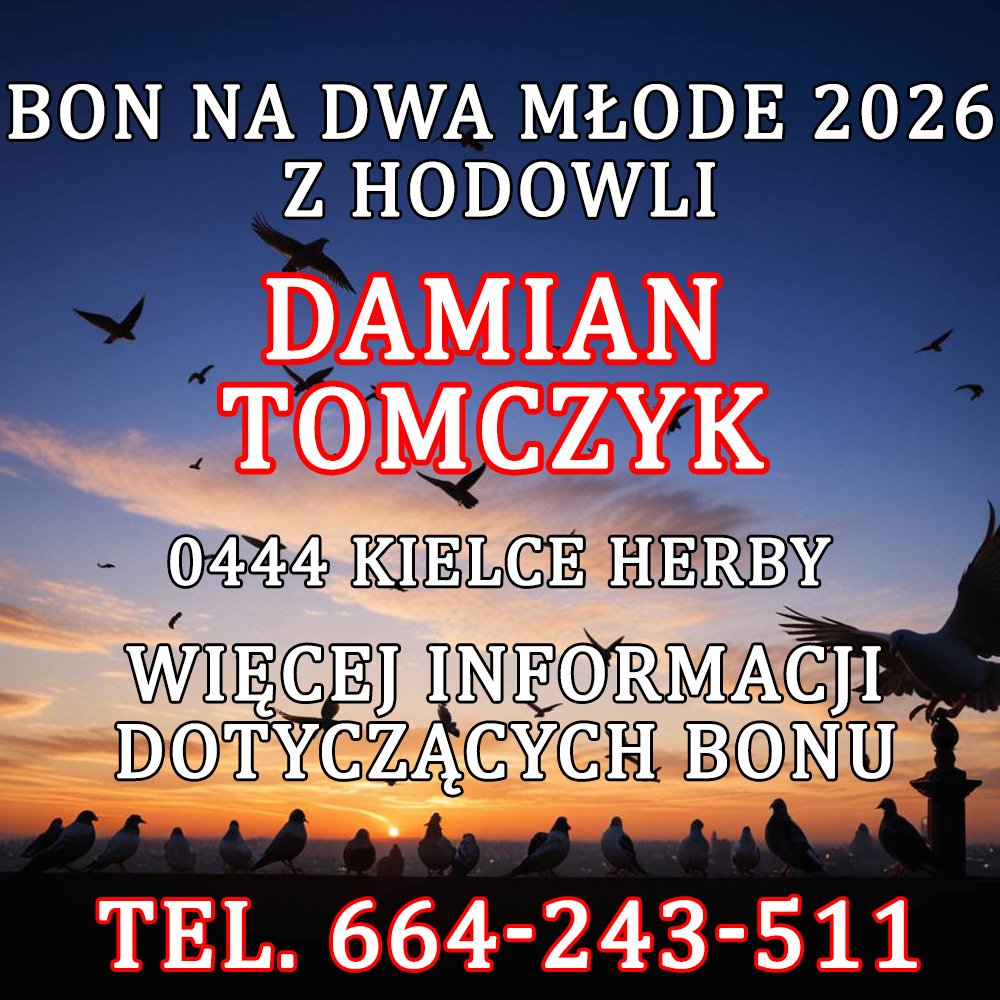 DAMIAN TOMCZYK