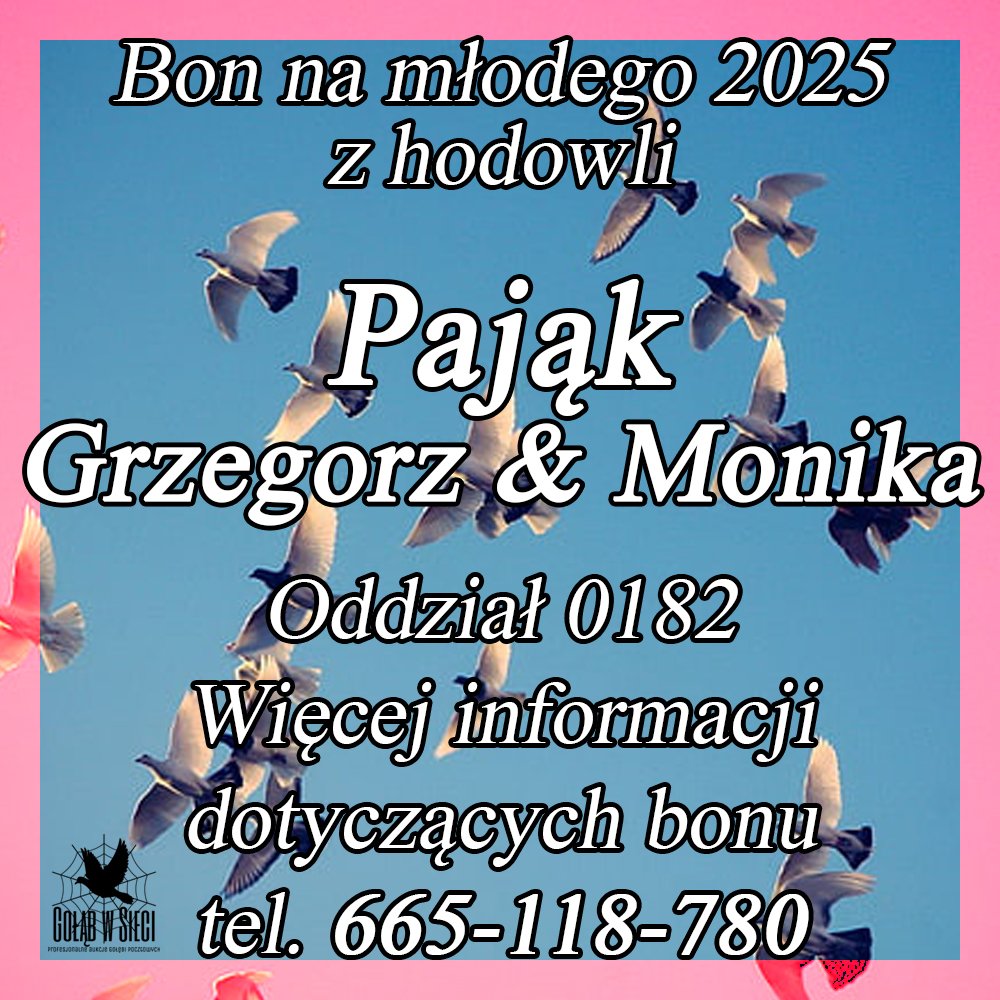 DARCZYŃCA BONU: PAJĄK GRZEGORZ & MONIKA / PZHGP 0182 SUCHEDNIÓW