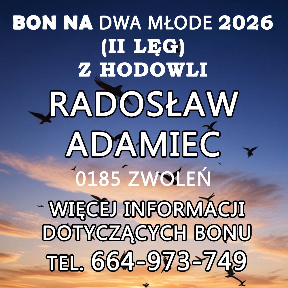 RADOSŁAW ADAMIEC