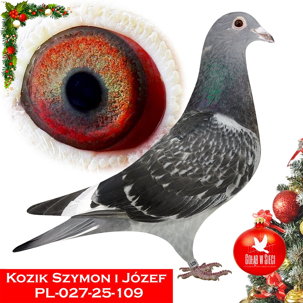 KOZIK SZYMON & JÓZEF