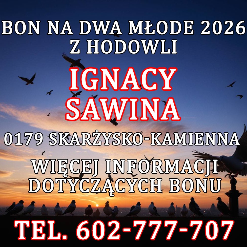 IGNACY SAWINA