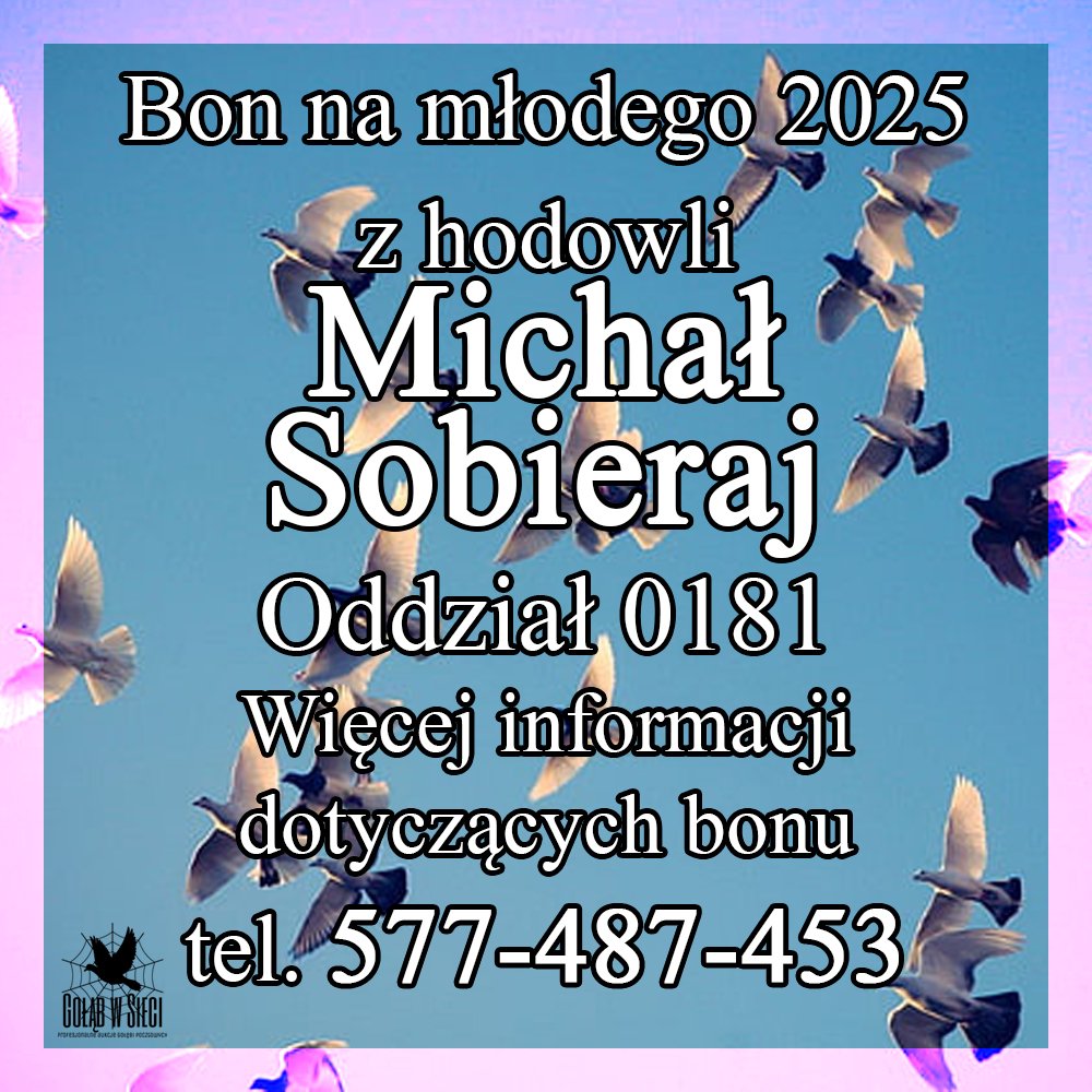 DARCZYŃCA BONU: MICHAŁ SOBIERAJ / PZHGP 0181 STĄPORKÓW