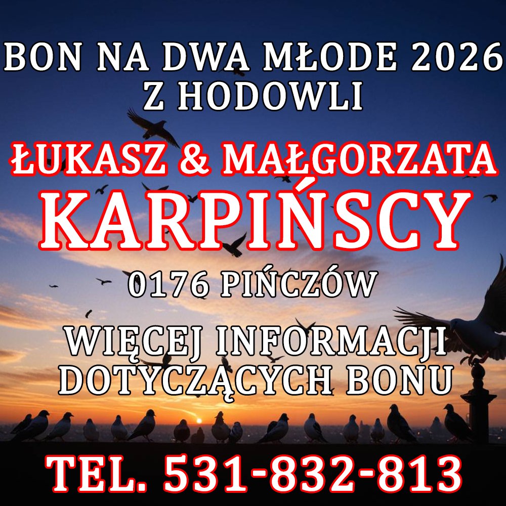 Ł. & M. KARPIŃSCY