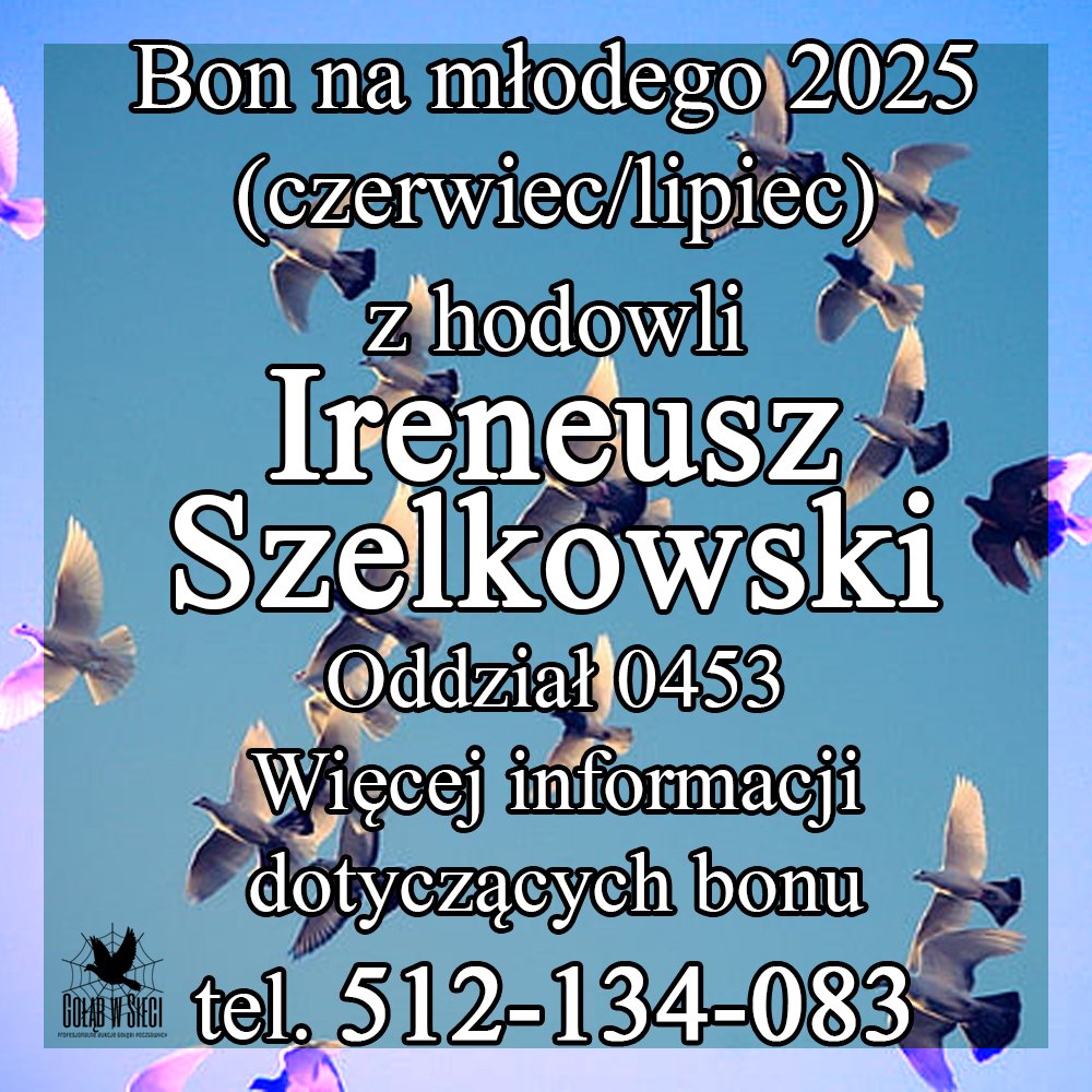 DARCZYŃCA BONU: IRENEUSZ SZELKOWSKI / PZHGP 0453 SŁUBICKO - KOSTRZYŃSKI