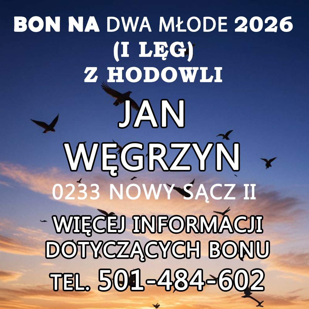 JAN WĘGRZYN