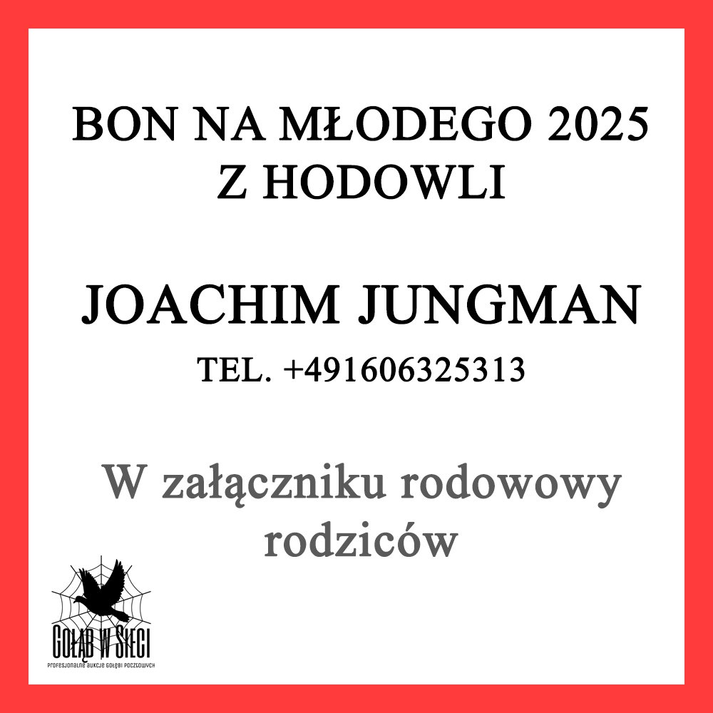 DARCZYŃCA: JOACHIM JUNGMAN