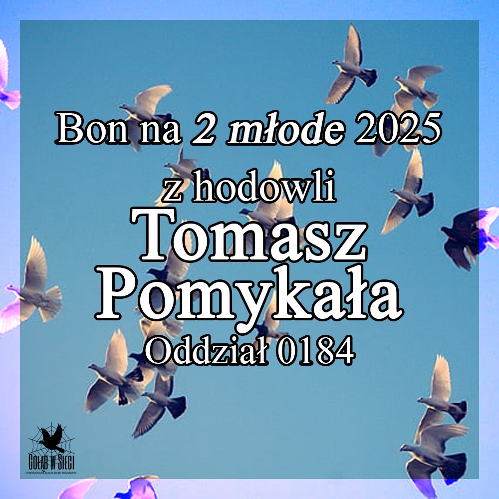 DARCZYŃCA BONU: TOMASZ POMYKAŁA / PZHGP 0184 WŁOSZCZOWA -> TEL. 691 - 893 - 510