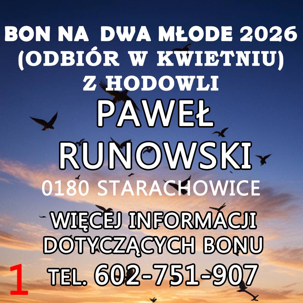 PAWEŁ RUNOWSKI (1)