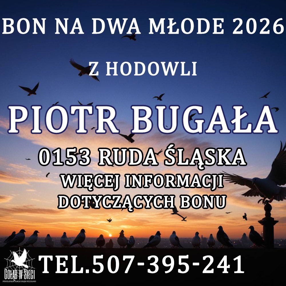 PIOTR BUGAŁA
