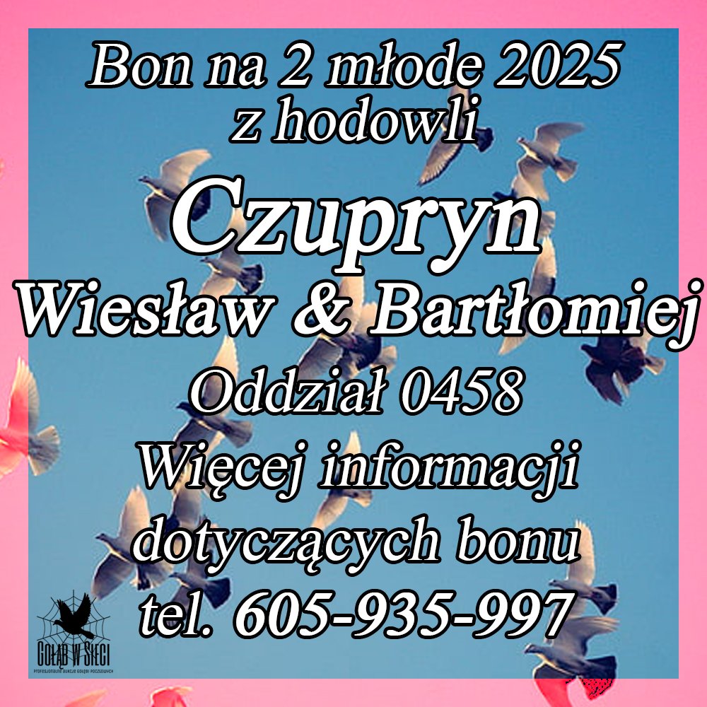 DARCZYŃCA BONU: CZUPRYN WIESŁAW & BARŁOMIEJ / PZHGP 0458 STASZÓW