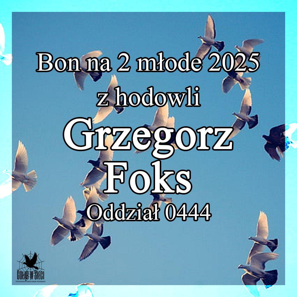 DARCZYŃCA BONU: GRZEGORZ FOKS / PZHGP 0444 KIELCE - HERBY -> TEL. 609 - 026 - 666