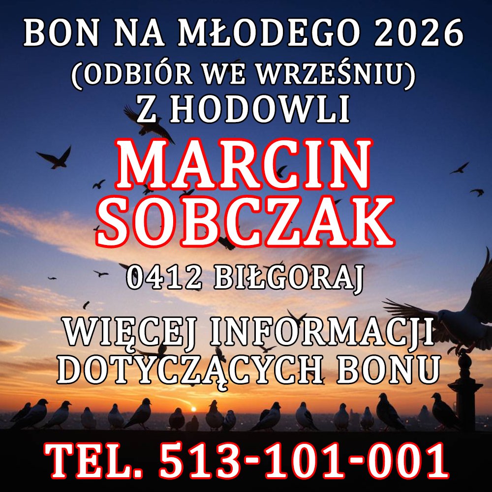 MARCIN SOBCZAK