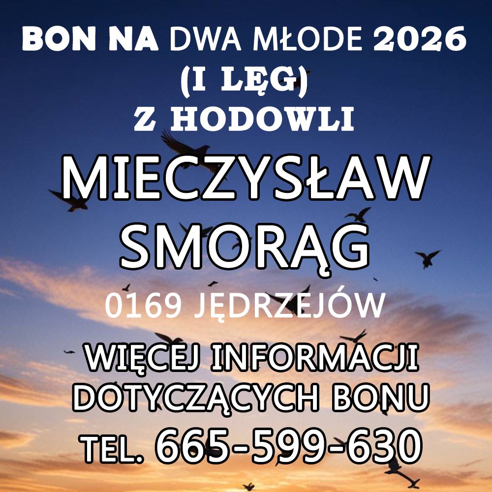 MIECZYSŁAW SMORĄG
