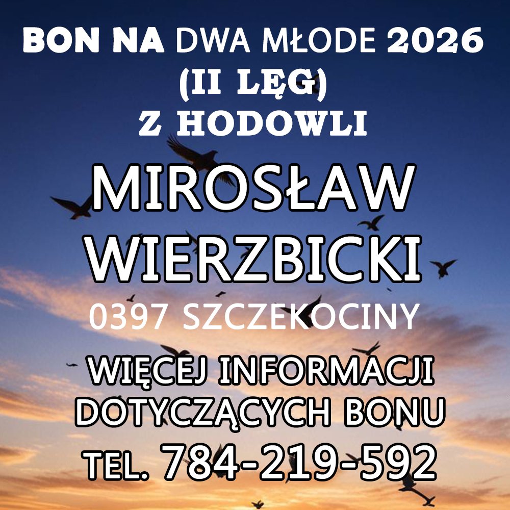 MIROSŁAW WIERZBICKI