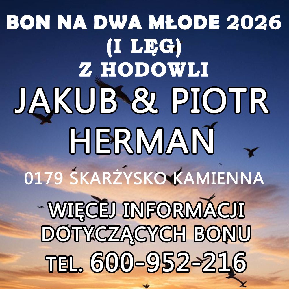 JAKUB & PIOTR HERMAN