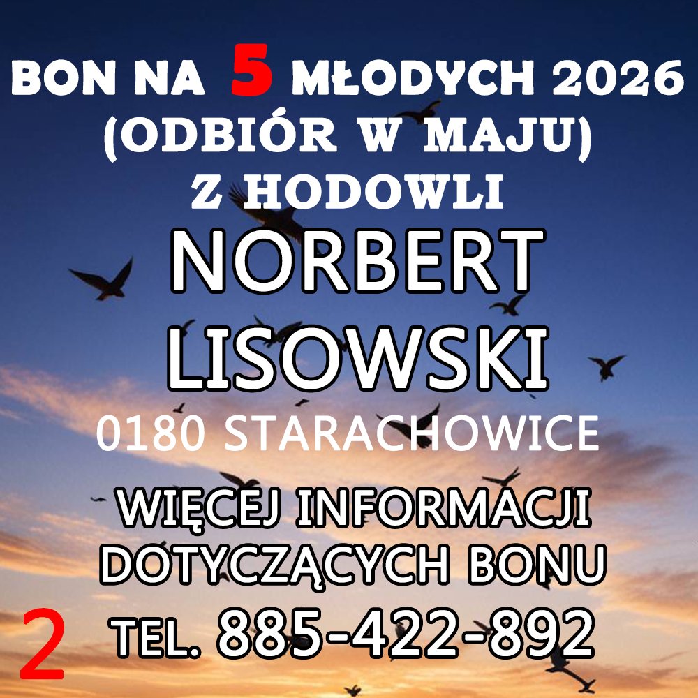 NORBERT LISOWSKI (2)