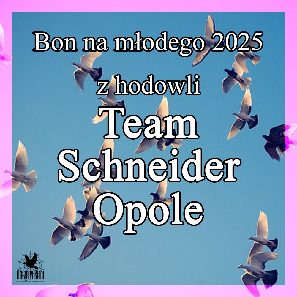 DARCZYŃCA BONU: SG SCHNEIDER / PZHGP 0259 MOSZNA -> TEL. +48 774 662 013