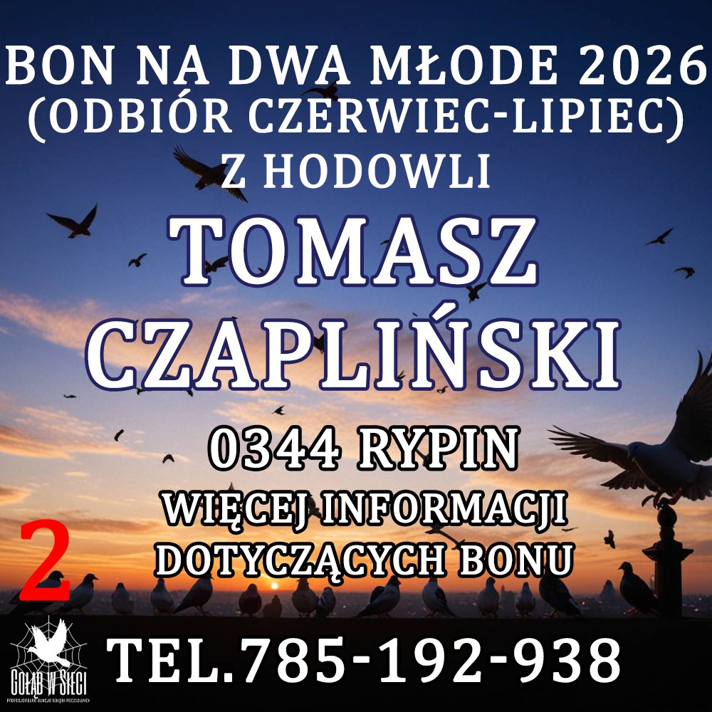 TOMASZ CZAPLIŃSKI (2)