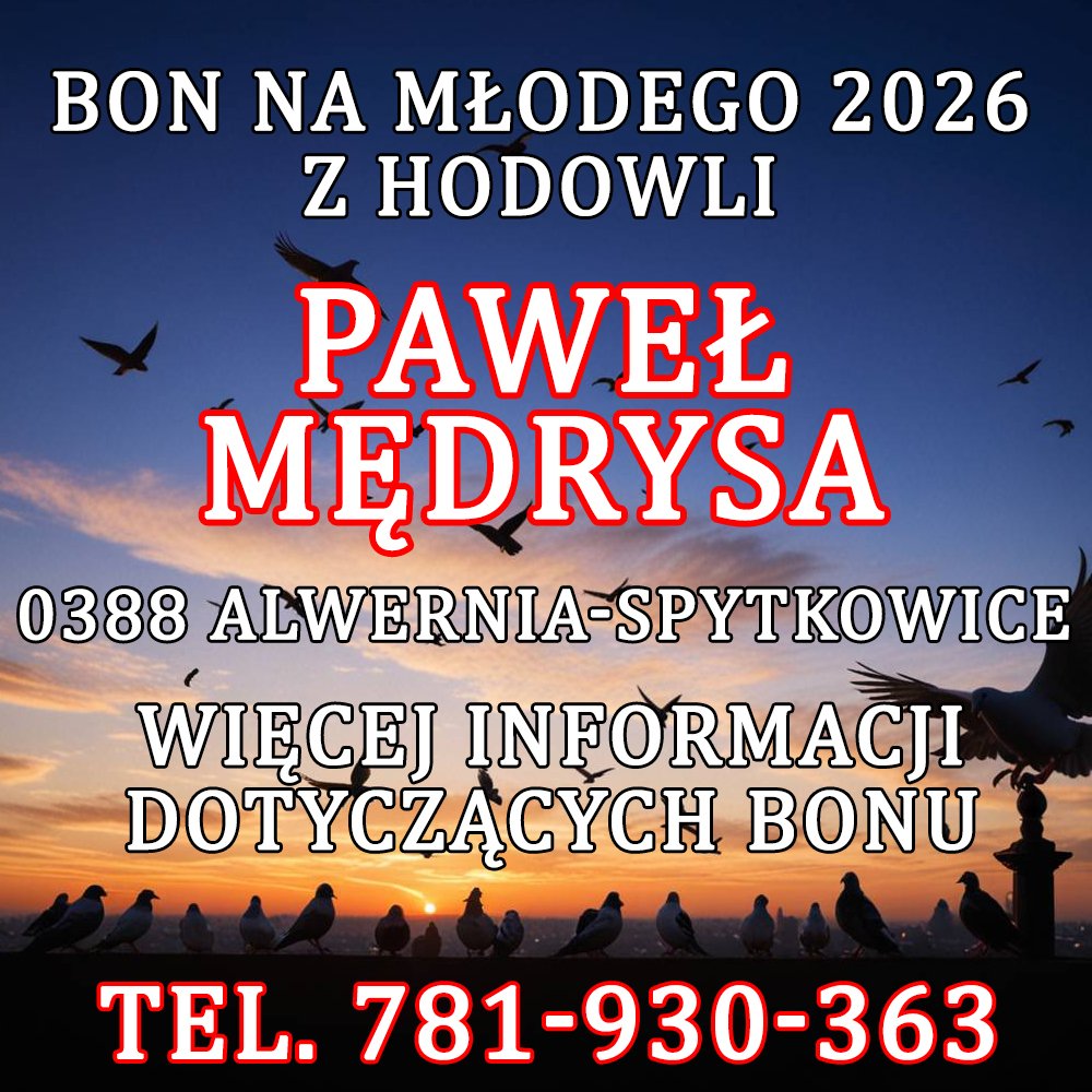 PAWEŁ MĘDRYSA