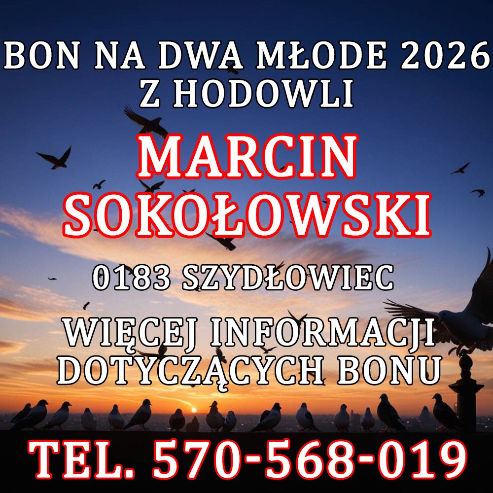 MARCIN SOKOŁOWSKI