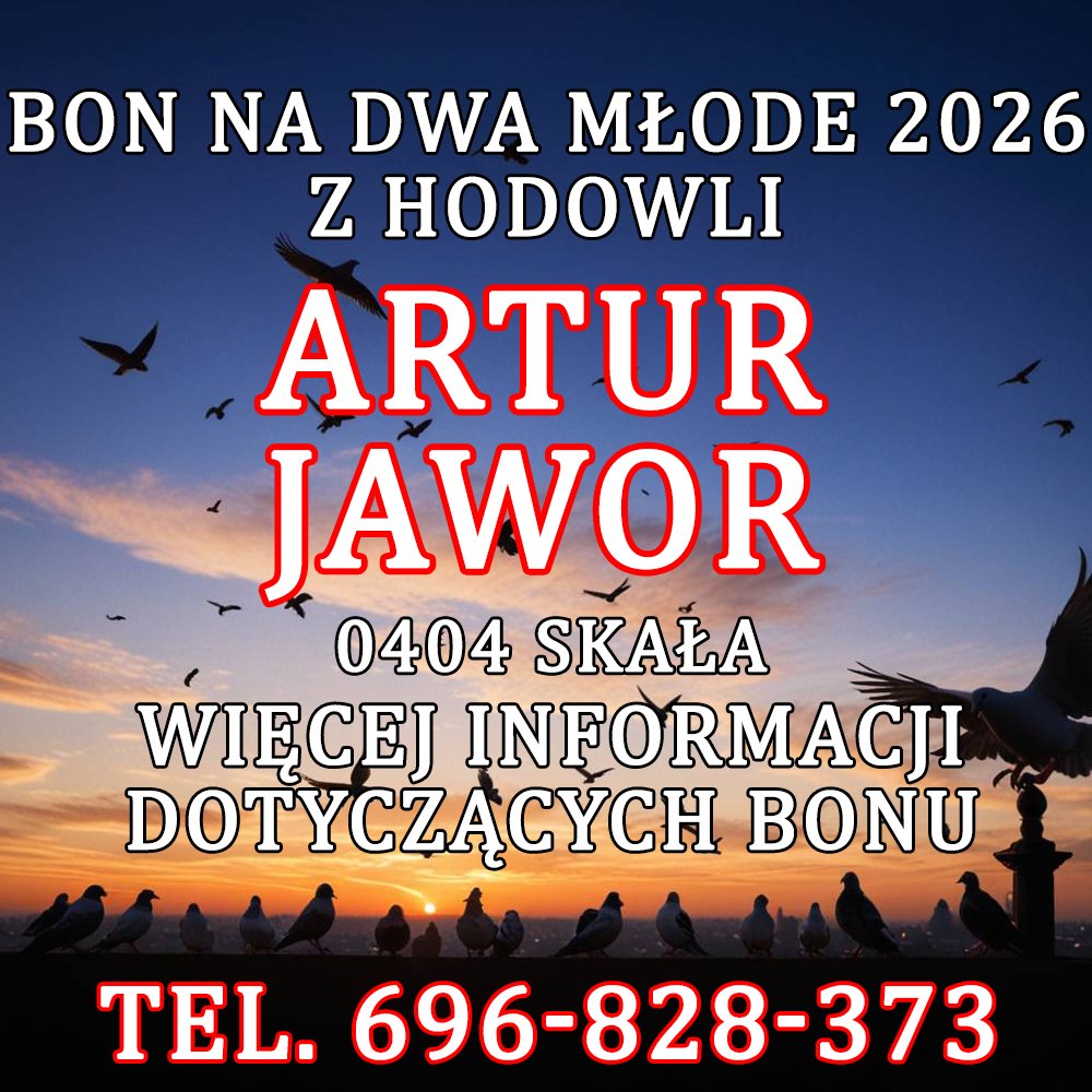 ARTUR JAWOR