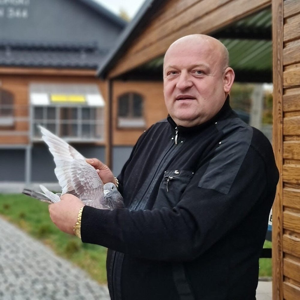 TOMASZ CZAPLIŃSKI | BON NA 1 GOŁĘBIA MŁODEGO Z ROCZNIKA 2022 |