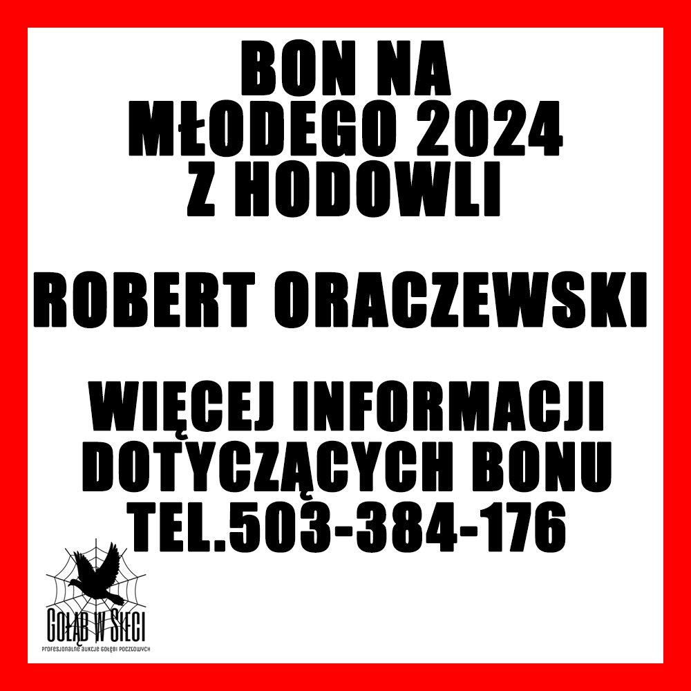 ROBERT ORACZEWSKI - 0201 PROSZOWICE / BON NR 1 NA MŁODEGO Z ROCZNIKA 2024