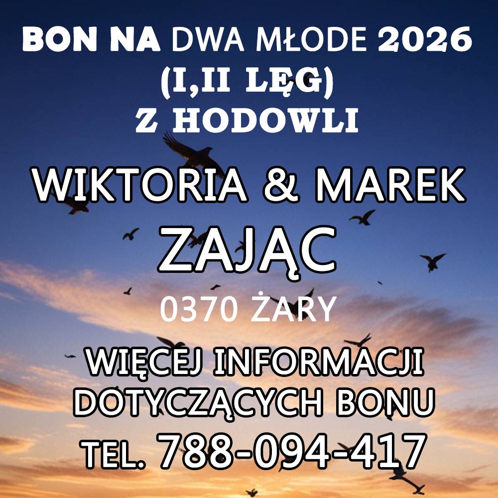 WIKTORIA & MAREK ZAJĄC