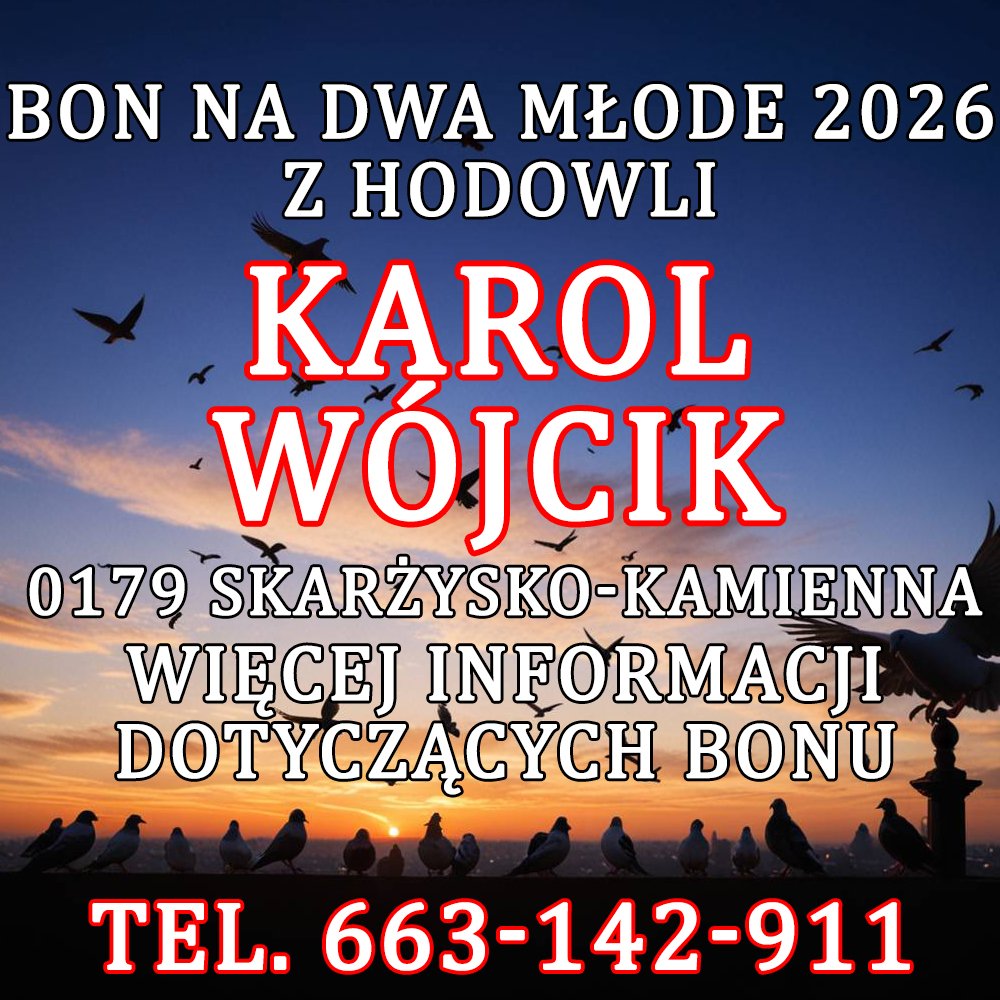 KAROL WÓJCIK