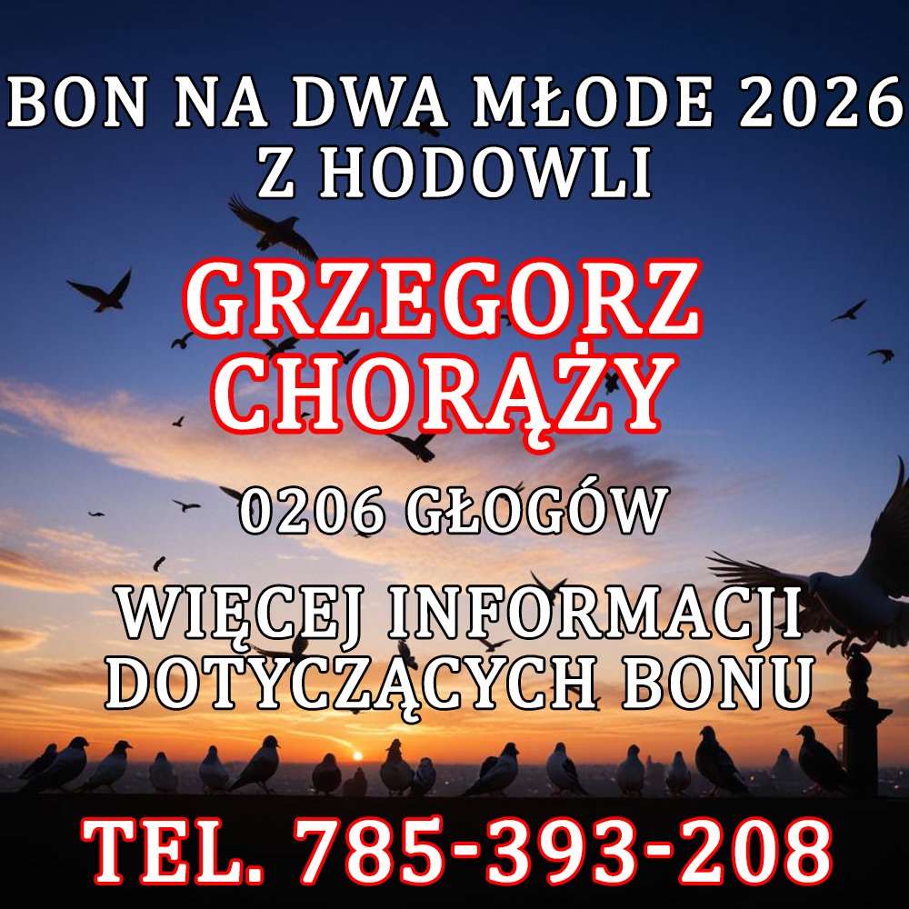 GRZEGORZ CHORĄŻY