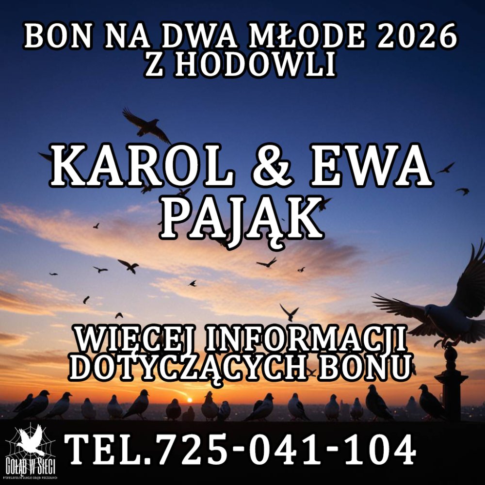 EWA & KAROL PAJĄK