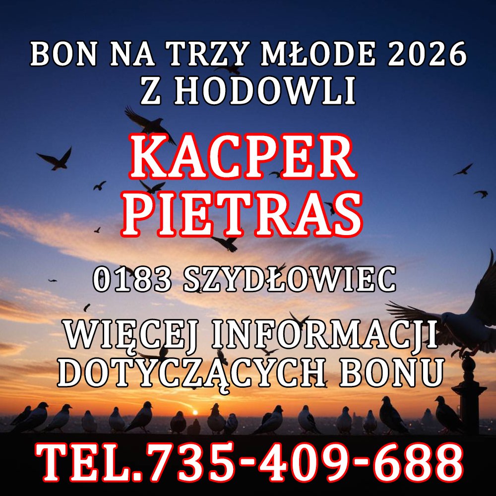 KACPER PIETRAS
