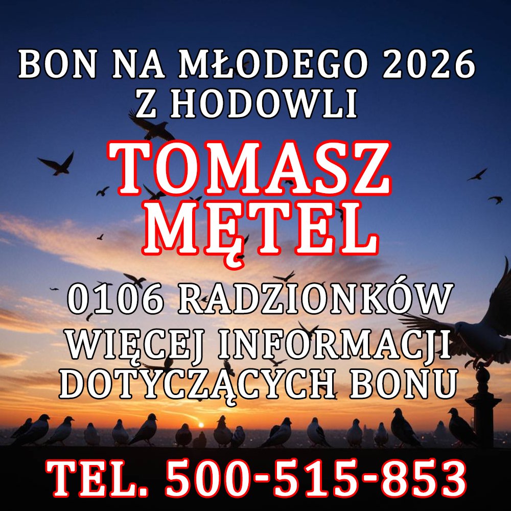 TOMASZ MĘTEL