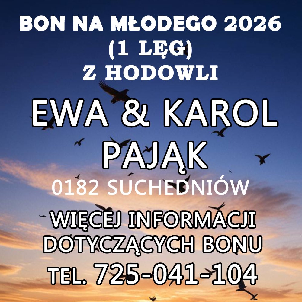 EWA & KAROL PAJĄK