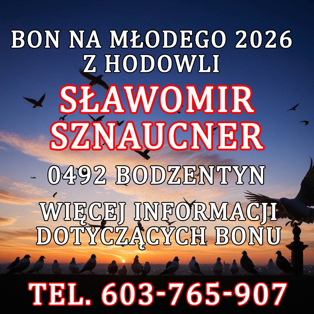 SŁAWOMIR SZNAUCNER