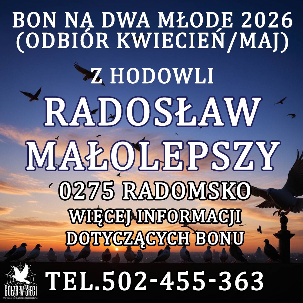 RADOSŁAW MAŁOLEPSZY